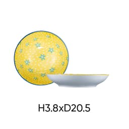 Combo of 4 large ANNE ceramic plates in random colors H3.8xD20.5 image 9