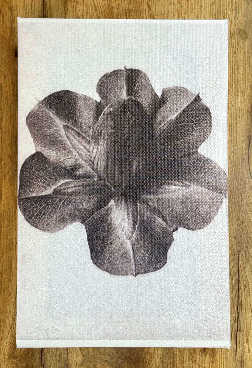 Canvas painting - Black/White Wood SHELLY image 4