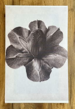 Canvas painting - Black/White Wood SHELLY image 4