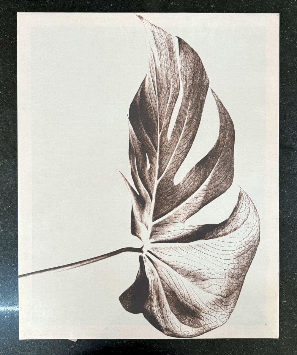 Canvas painting - Black/White Wood SHELLY image 6
