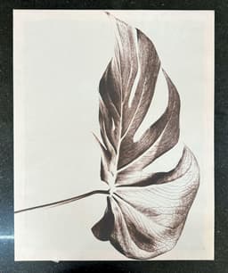 Canvas painting - Black/White Wood SHELLY image 6